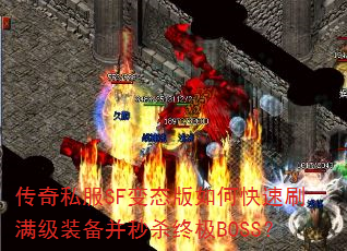 ����˽��SF��̬����ο���ˢ����װ������ɱ�ռ�BOSS��