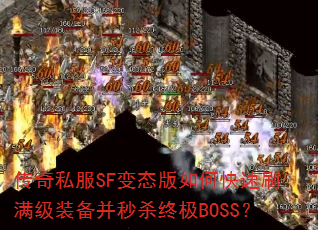 ����˽��SF��̬����ο���ˢ����װ������ɱ�ռ�BOSS��