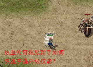 ��Ѫ����˽��������ο������ո߼����ܣ�