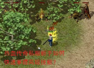 ��Ѫ����˽��������ο������ո߼����ܣ�