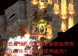 ��Ѫ����˽��ά�����º���ο��ٻ�ȡϡ��װ��������ս����