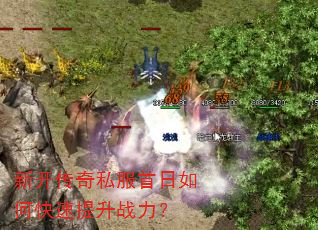新开传奇私服首日如何快速提升战力? 新开传奇私服首日如何快速提升战力?
