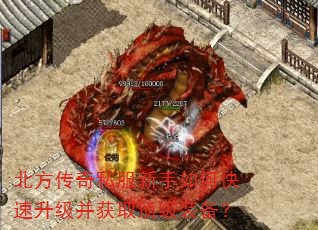北方传奇私服新手如何快速升级并获取顶级装备? 北方传奇私服新手如何快速升级并获取顶级装备?