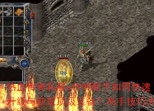 热血传奇私服sf999新手如何快速升级与获取顶级装备?高手技巧大揭秘 热血传奇私服sf999新手如何快速升级与获取顶级装备?高手技巧大揭秘
