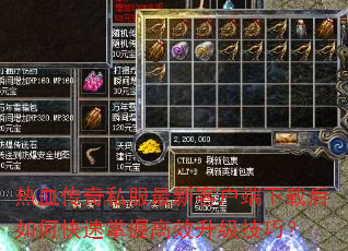 ��Ѫ����˽�����¿ͻ������غ���ο������ո�Ч�������ɣ�