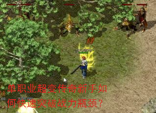 ��ְҵ���䴫��������ο���ͻ��ս��ƿ����