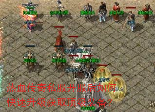 ��Ѫ����˽����������ο���������ȡ����װ����