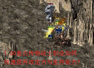 1.80���Ŵ���սʿְҵ��ο�������������������������