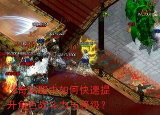 ����˽������ο���������ɫս������ȼ���