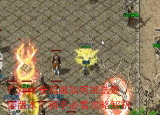 1.76����˽�������ѡ��Ѱ汾�����ֱؿ����Խ���