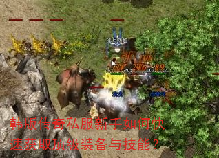 ���洫��˽��������ο��ٻ�ȡ����װ���뼼�ܣ�