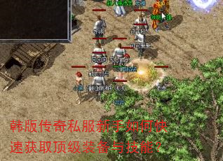 ���洫��˽��������ο��ٻ�ȡ����װ���뼼�ܣ�