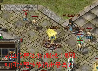 ��Ѫ����˽��n��սʿְҵ��δ��似�������ߣ�