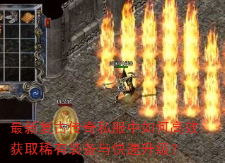 ���¸��Ŵ���˽������θ�Ч��ȡϡ��װ�������������