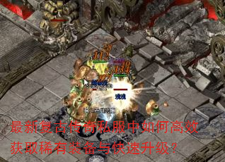 ���¸��Ŵ���˽������θ�Ч��ȡϡ��װ�������������