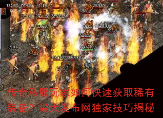 ����˽�������ο��ٻ�ȡϡ��װ������󷢲������Ҽ��ɽ���