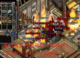 ����ϻ�����˽������ο���������ɫս�����ȼ���