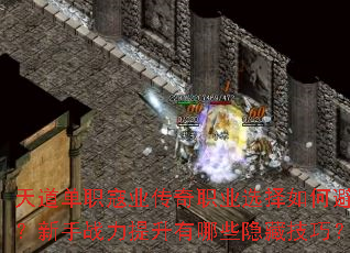 �����ְ��ҵ����ְҵѡ����αܿӣ�����ս����������Щ���ؼ��ɣ�