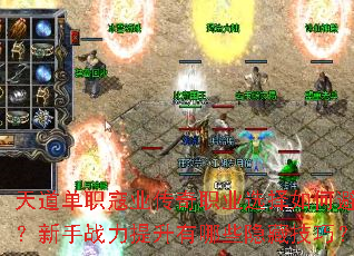 �����ְ��ҵ����ְҵѡ����αܿӣ�����ս����������Щ���ؼ��ɣ�