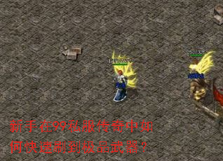 新手在99私服传奇中如何快速刷到极品武器? 新手在99私服传奇中如何快速刷到极品武器?