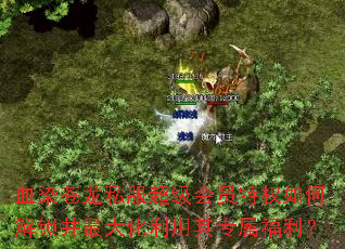 ѪȾ����˽��������Ա��Ȩ��ν��������������ר��������