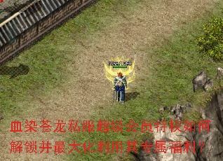 ѪȾ����˽��������Ա��Ȩ��ν��������������ר��������