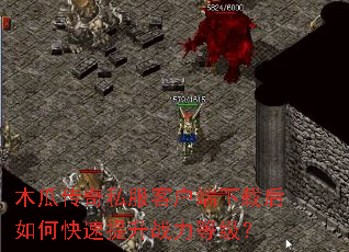 木瓜传奇私服客户端下载后如何快速提升战力等级? 木瓜传奇私服客户端下载后如何快速提升战力等级?