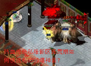 ��Ѫ����˽��������������ο���ˢBOSS����װ��