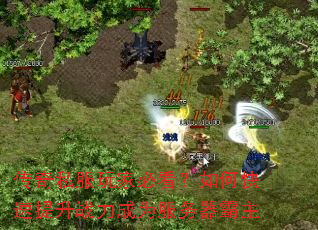 ����˽����ұؿ�����ο�������ս����Ϊ����������