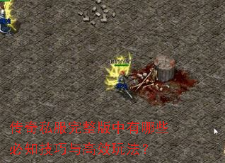 ����˽��������������Щ��֪�������Ч�淨��