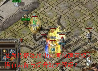 ħ������˽������ο��ٻ�ȡϡ��װ��������ս���ȼ���