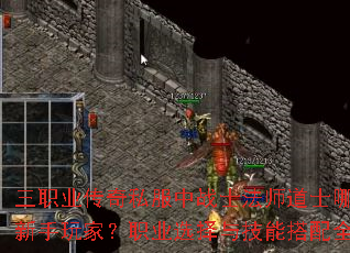 ��ְҵ����˽����սʿ��ʦ��ʿ�ĸ����ʺ�������ң�ְҵѡ���뼼�ܴ���ȫ������