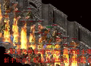 ��ְҵ����˽����սʿ��ʦ��ʿ�ĸ����ʺ�������ң�ְҵѡ���뼼�ܴ���ȫ������