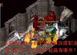 ��ѩ�ϻ��������ָ����ѡ��ְҵ�����������ս�������ؼ�����Щ��