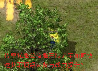 传奇私服公益服无限元宝如何快速获取顶级装备与战力提升? 传奇私服公益服无限元宝如何快速获取顶级装备与战力提升?