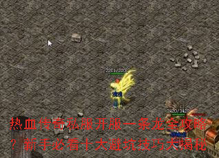 热血传奇私服开服一条龙全攻略?新手必看十大避坑技巧大揭秘 热血传奇私服开服一条龙全攻略?新手必看十大避坑技巧大揭秘