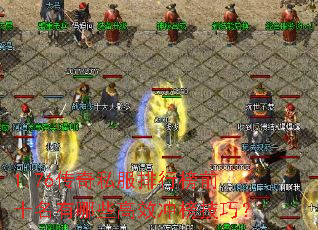 1.76����˽�����а�ǰʮ������Щ��Ч����ɣ�