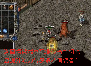 ������΢�˵�ְҵ������ο�������ս�����ȡϡ��װ����