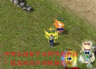 传奇私服新手如何快速升级?找服网高手攻略解答? 传奇私服新手如何快速升级?找服网高手攻略解答?