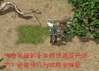 ����˽��������ο�������ս�����ر������빥��ȫ����