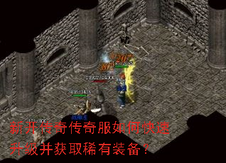 �¿����洫�����ο�����������ȡϡ��װ����