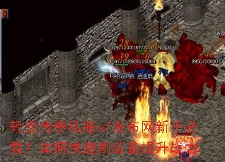 轻变传奇私服sf发布网新手必看?如何快速刷装备提升战力 轻变传奇私服sf发布网新手必看?如何快速刷装备提升战力