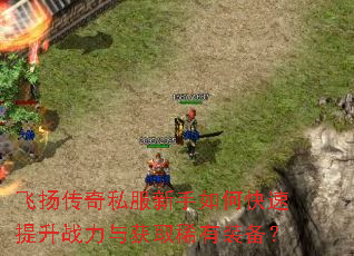 飞扬传奇私服新手如何快速提升战力与获取稀有装备? 飞扬传奇私服新手如何快速提升战力与获取稀有装备?