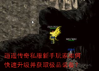 ��ң����˽�����������ο�����������ȡ��Ʒװ����