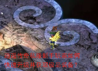 ��ң����˽�����������ο�����������ȡ��Ʒװ����