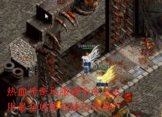 ��Ѫ����˽��GM������ô����ȫ�����뼼�ɷ�����