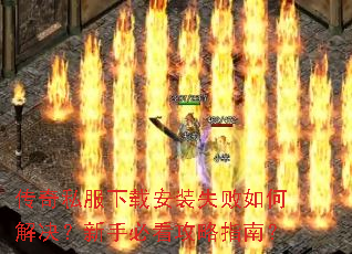 ����˽�����ذ�װʧ����ν�������ֱؿ�����ָ�ϣ�