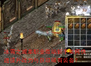 ��ѩ֮�ǵ�ְҵ΢��������ο�������ս�����ȡϡ��װ����