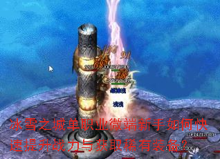 ��ѩ֮�ǵ�ְҵ΢��������ο�������ս�����ȡϡ��װ����