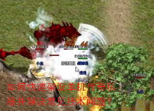 ��ο��ټ��赥������˽������������������⣿